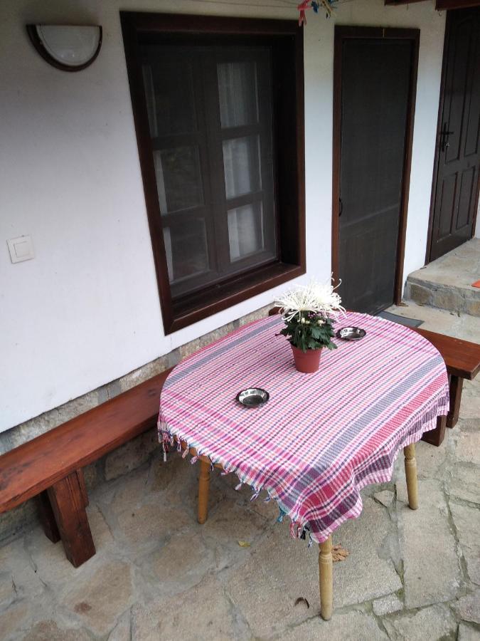 Razsukanova House , Разсукановата Къща Elena Ngoại thất bức ảnh
